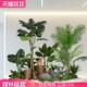 幼儿园大型假树仿真绿植造景室内装 饰商场橱窗落地楼梯间植物景观
