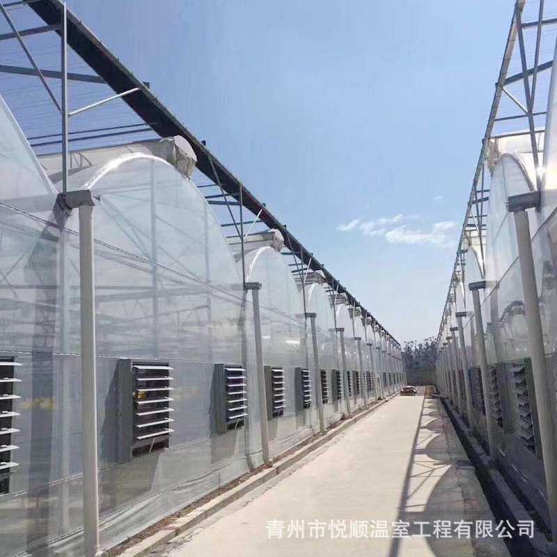 连栋薄膜温室大棚日光温室透明塑料薄膜蔬菜大棚景观农业工程项目,农机/农具/农膜,温室大棚支架,淘宝优惠券,粉丝福利购,淘宝优惠卷
