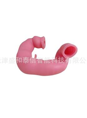 北京天津河北人体器官演示模型肠胃模型面皮模型手板模型手术模型