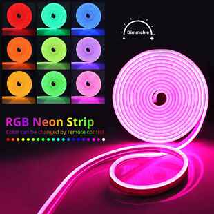 Smart RGB Strip Bluetooth WiFi Life Tuya Lights Neon LED 12V
