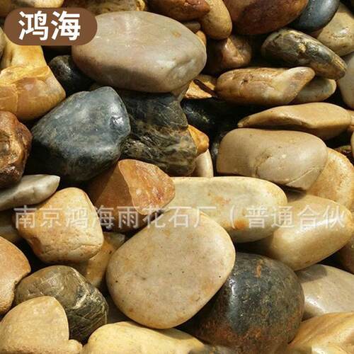 彩色鹅卵石变压器人工河底专用彩色鹅卵石 园林景观高抛光雨花石