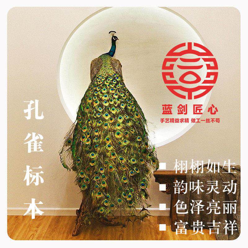 白孔雀标本孔雀羽毛客厅孔雀工艺礼品摆饰轻奢摆件动物标本孔雀扇