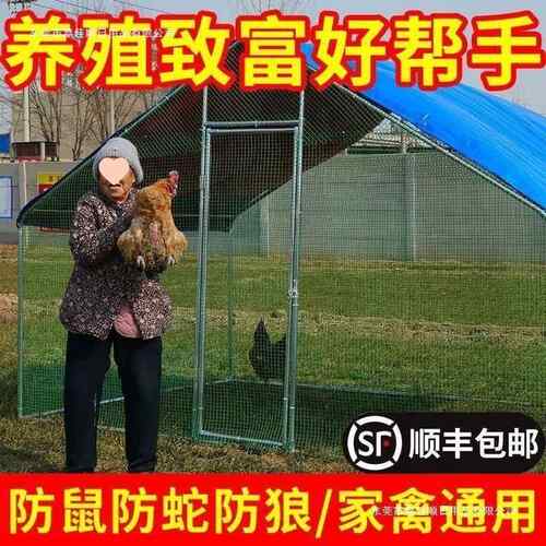 外鸡笼鸡户棚鸡特大号家禽雨防家用鸽笼孔雀鸡舍养大型养殖LBM搭