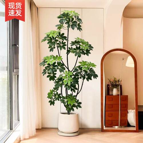 电柜旁边落地摆件型室视内客厅沙旁边假大植物鸭7/23超真脚木仿发