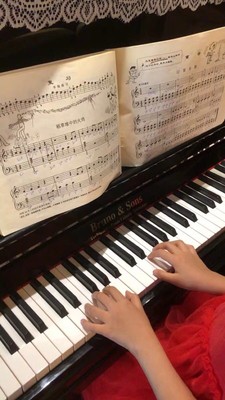 谁来说说布鲁诺钢琴和珠江对比哪个好用些，来说说真相？