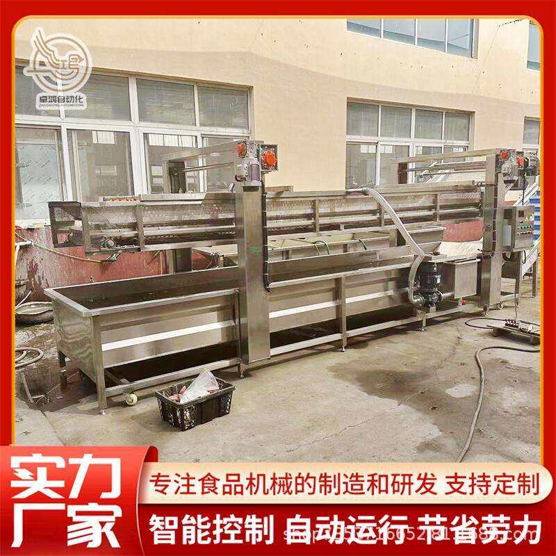 全自动提升式蓝莓清洗机大型芒果清洗加工设备商用杨梅气泡清洗机