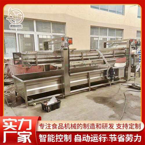 全自动提升式蓝莓清洗机大型芒果清洗加工设备商用杨梅气泡清洗机