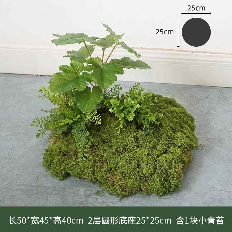造苔藓景橱窗假青苔内绿植装饰软装布置65557145微景观室套过装组