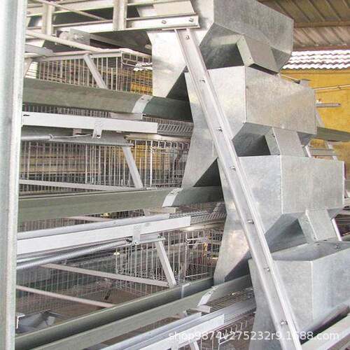 阶梯式喂料设备自动化养殖机械厂家出售全自动定量喂食器