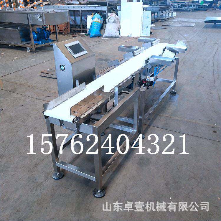 全自动皮带分级机 分拣海鱼秋刀鱼带鱼真空包装 精度分选速度快