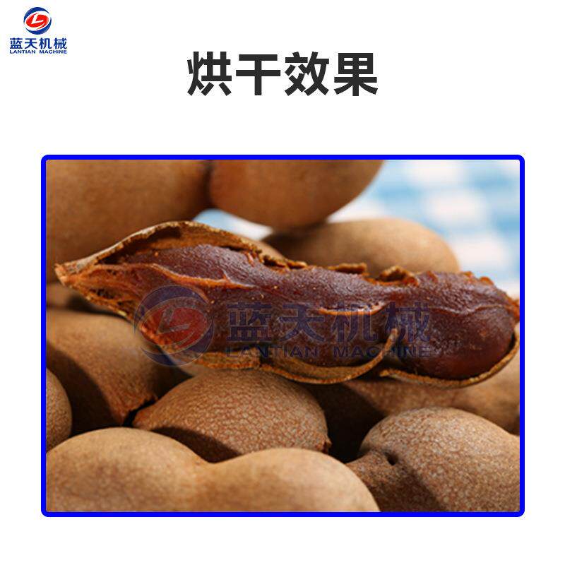 空气能酸角烘干机 大型云南甜酸角烘干箱 热泵罗望子酸豆烘干设备