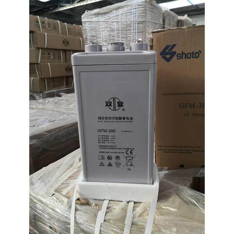 双登蓄电池GFM-300电力工程直流系统2V300AH发电站紧急电源直流屏