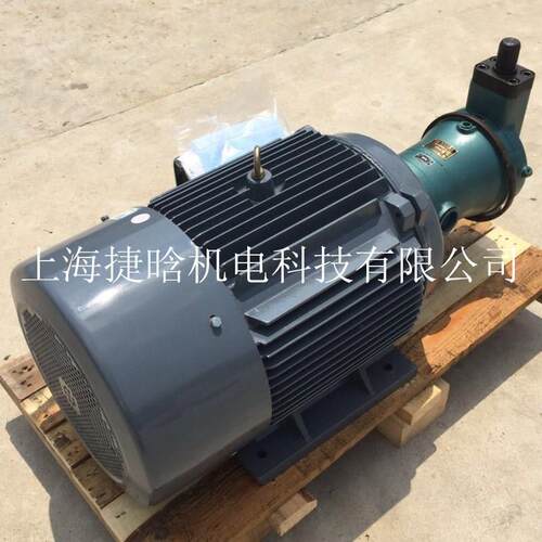 上海供应YQB100L2-4液压系统内插式三相电动机 配套CY柱塞泵