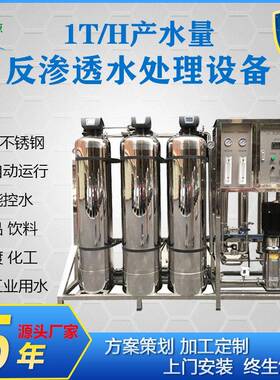 时产1吨现货反渗透水处理设备 食品工业去离子水 净水 纯水设备