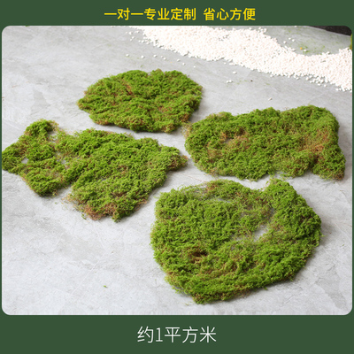 造景仿生仿真绿植植物摆设景橱窗花石装饰庭院小型室内灯假落地
