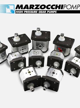 GHP3-D-110GHP3A-D-110GHP3A-D-110-FG齿轮泵MARZOCCHI马祖奇