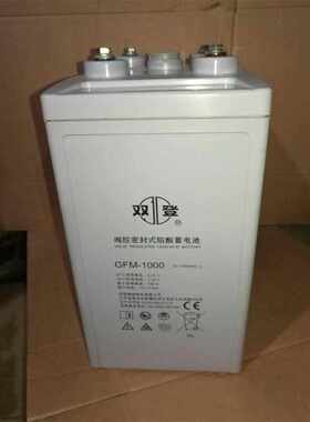 双登蓄电池2v1000ah直流屏UPS/基站发电厂储能密封式GFM-1000