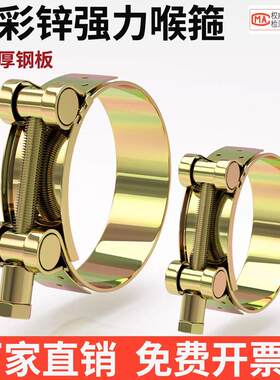 欧式强力喉箍铁镀锌卡箍水管胶管水管固定高压油管卡子重型管箍