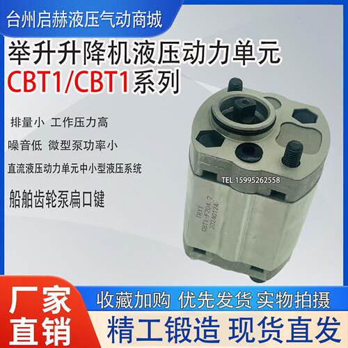 TRYY铸铝齿轮泵CBT系列 液压动力泵叉车举升机配件