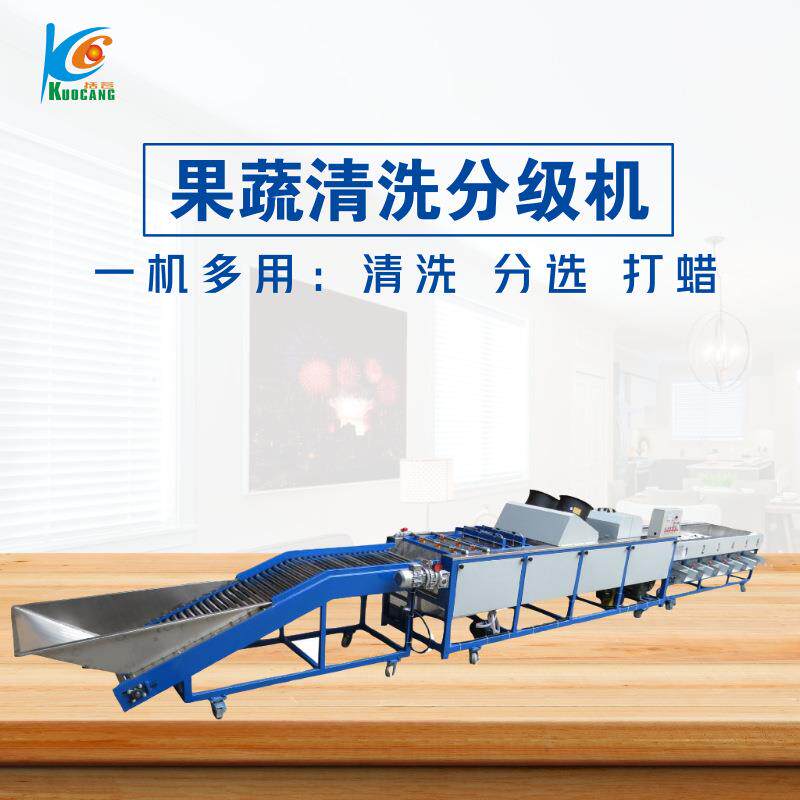 柑桔分级机清洗风干打蜡选果机水果分级机脐橙柠檬分选机