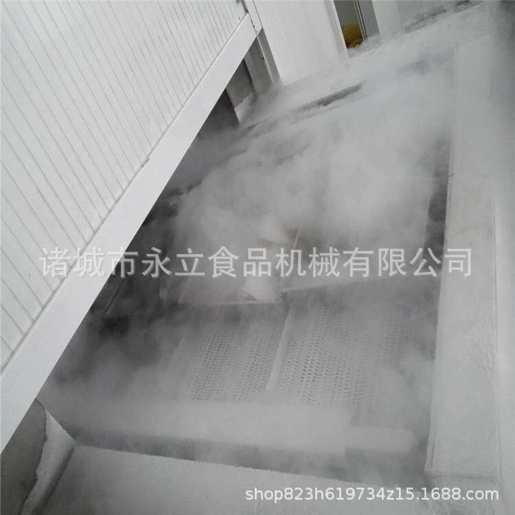 全自动隧道式海鲜速冻机 馄饨饺子包子速冻机 虾仁龙虾尾单冻机器