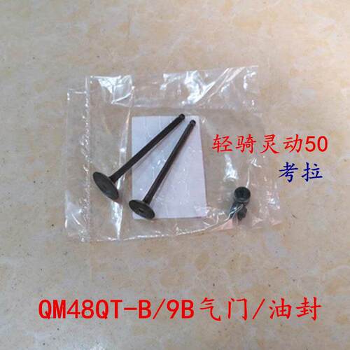 包邮轻骑摩托车配件 灵动50气门 考拉QM48QT-B/9B气门油封组件