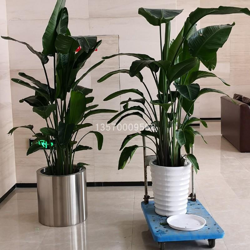 不锈钢花盆 金属花瓶 落地大花器 绿植盆套 圆形花盆花箱 现货