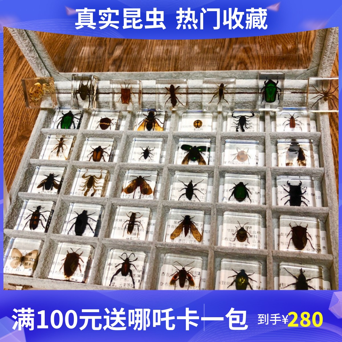 新款绒面亚克力镜面透明昆虫盒 树脂标本展示盒饰品收纳盒包邮
