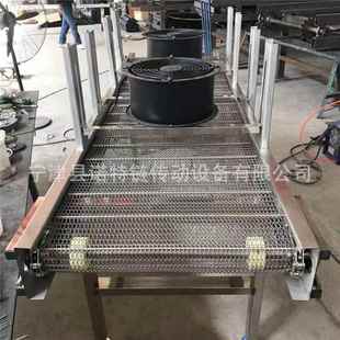 厂家专业生产链板输送机网带输送机提升输送机网带输送线