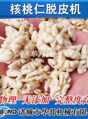 核桃仁桃去皮机2021新核仁脱皮机 纯物理脱皮清洗款设XBE备 制造