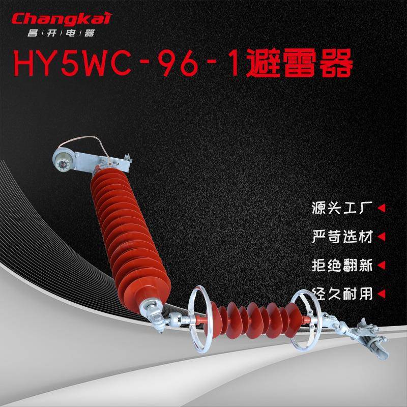 Y5CS-96-1户外高压氧化锌避雷器线路保护器悬挂式外间隙HY5WC-96-