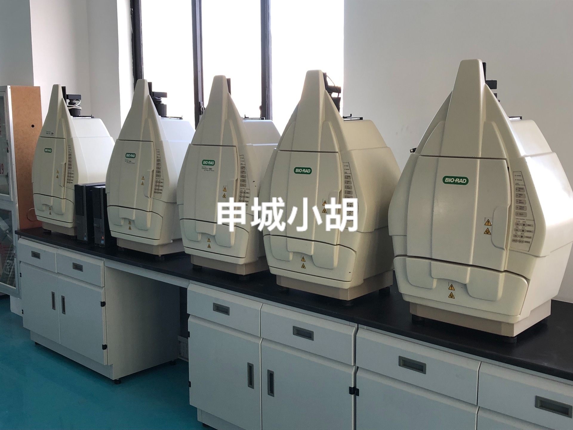 伯乐bio-rad凝胶成像仪 XR/SR+/XRS/XRS+