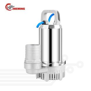 直流潜水泵2寸12v24v48v60v高扬程大流量直流太阳能潜水泵DC PUMP