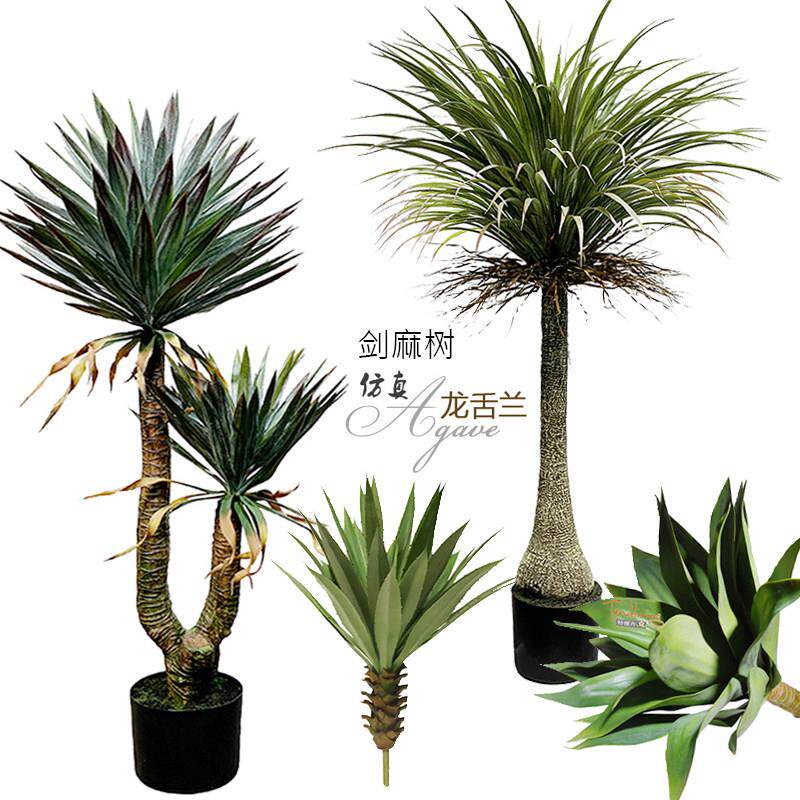 彷真沙漠肉质龙舌兰欧式剑麻叶树芦荟室内落地庭院造景绿植物盆栽