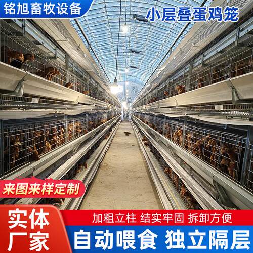 小层叠蛋鸡笼厂家框架叠式阶梯式养鸡笼畜牧养殖全自动化鸡笼