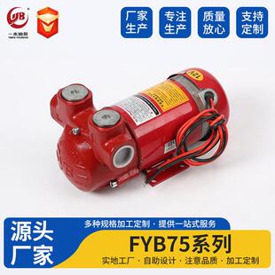 汽油泵FYBJ-75直流防爆油泵DCEx-ProofFuelTransferPump