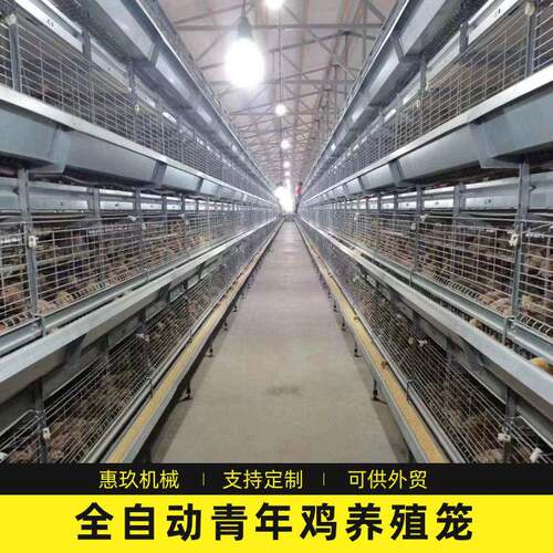 青年鸡全自动框架养鸡笼厂家定制鸡舍养鸡场雏鸡笼养殖笼具设备