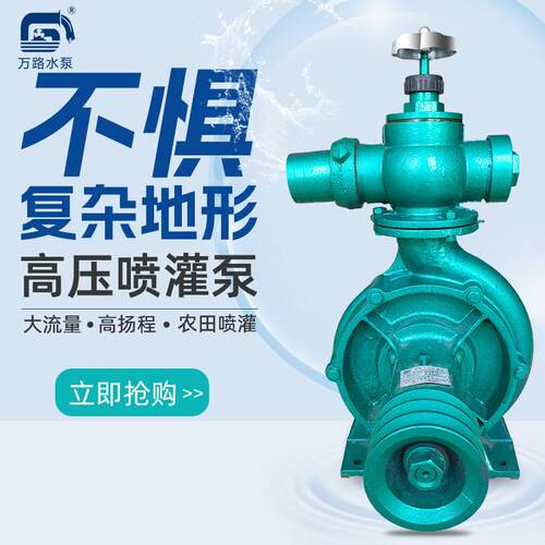泵业压自吸离心泵家用农用喷灌泵抽水泵机压泵自吸泵