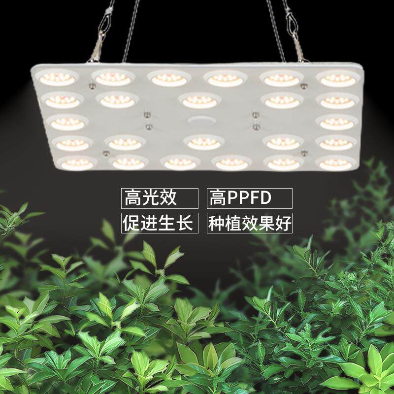 2025新款跨境电商爆款植物灯室内补光灯全光谱灯管生长灯量子板