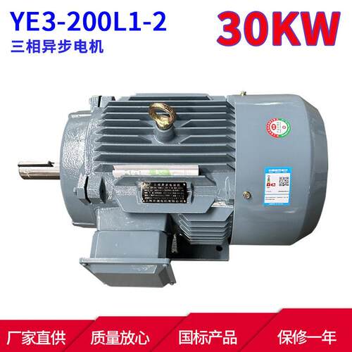 YE3系列马达三相异步电动机YE3-200L1-230W2极三相异步电机