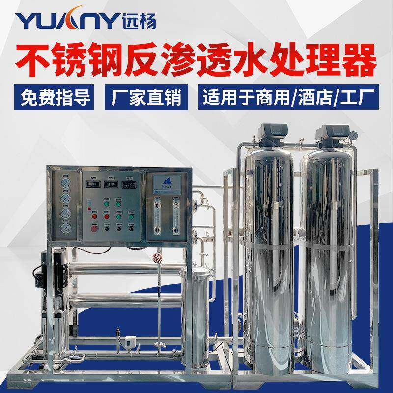 自动高纯水反渗透水处理设备 EDI二级超纯水处理设备 远杨机械