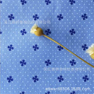 c21 c32 2股线色经白纬 2双经单纬32 全棉牛津纺印花布C40