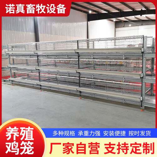 小层叠自动化蛋鸡笼清粪系统自动料线热镀锌养殖设备厂家