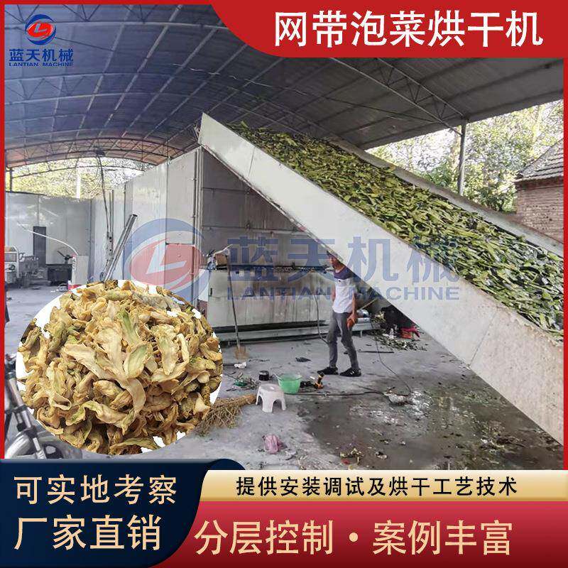 网带泡菜烘干机连续式辣白菜萝卜甜菜春莴苣腌菜脱水干燥机设备
