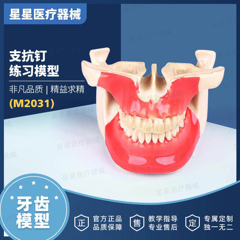 支抗钉模型练习模型发泡塑脂仿骨质硅胶皮口腔教学练模型