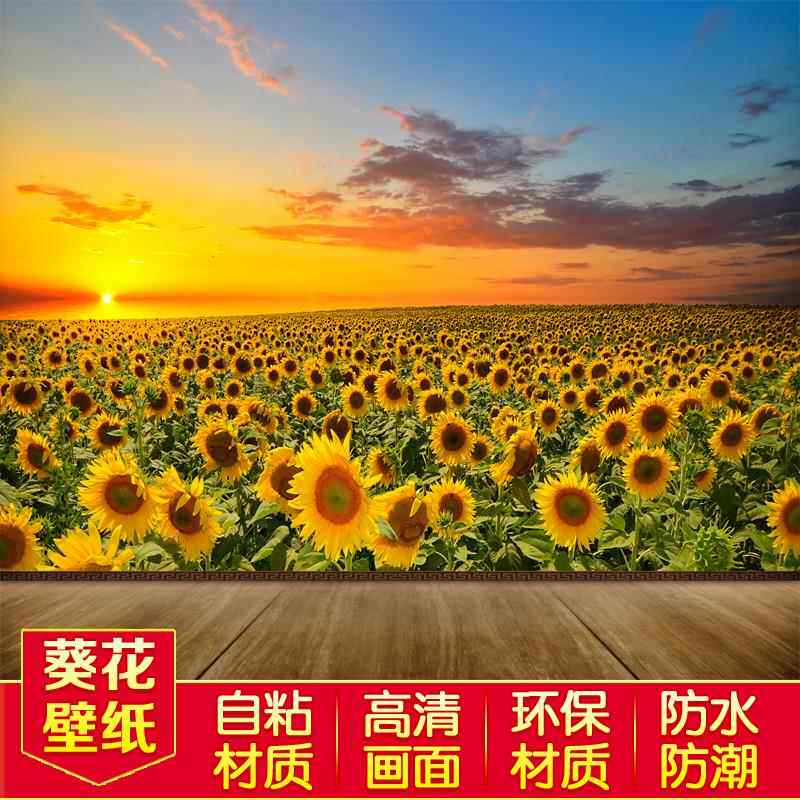 向日葵墙纸自粘卧室温馨壁纸贴画浪漫风景沙发背景墙花海3d墙贴