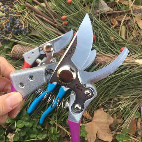 新款直销 SK5钢 775 果树修枝剪刀 园艺剪 绿化园林剪果枝剪粗枝