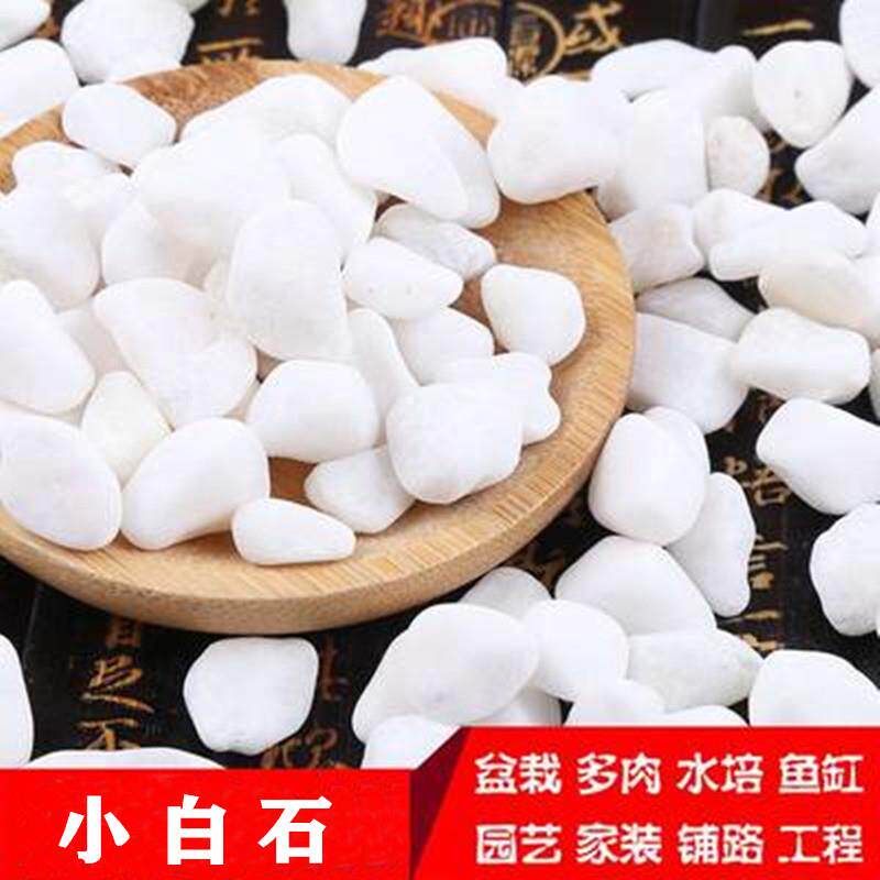 五斤卵石子造景庭院景观铺路花盆景鱼缸烟灰缸多肉铺面鹅卵石
