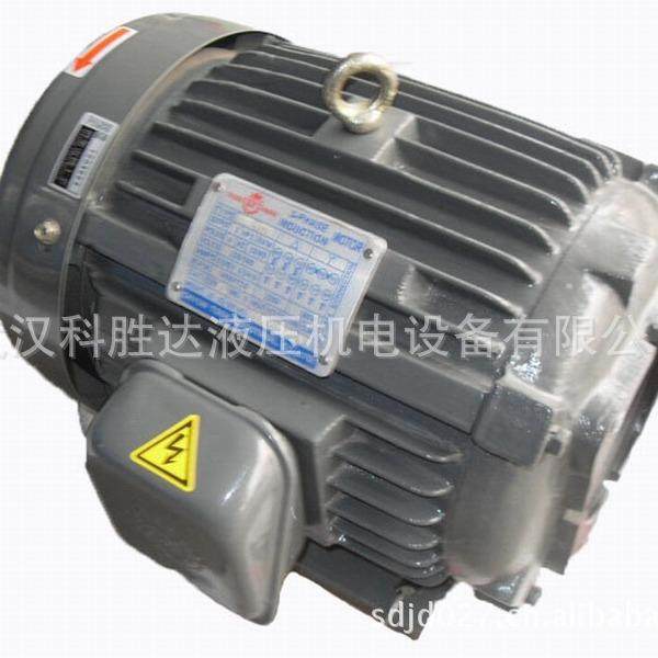 SY群策液压油泵电机 CO-4BO HP 2.25K C05-4B0 5HP .75K