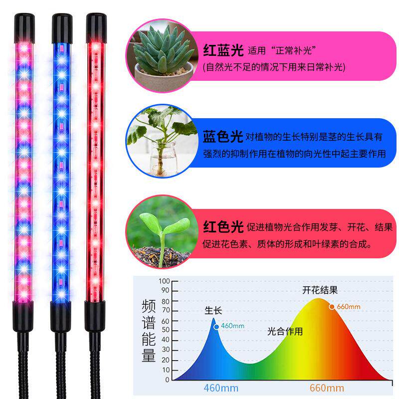 园艺12孔育苗盒专用灯支架助力生长灯可调节灯光光谱高低组合套装